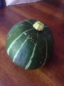 This is the squash that I picked from the garden to use in this Coffee Cake.